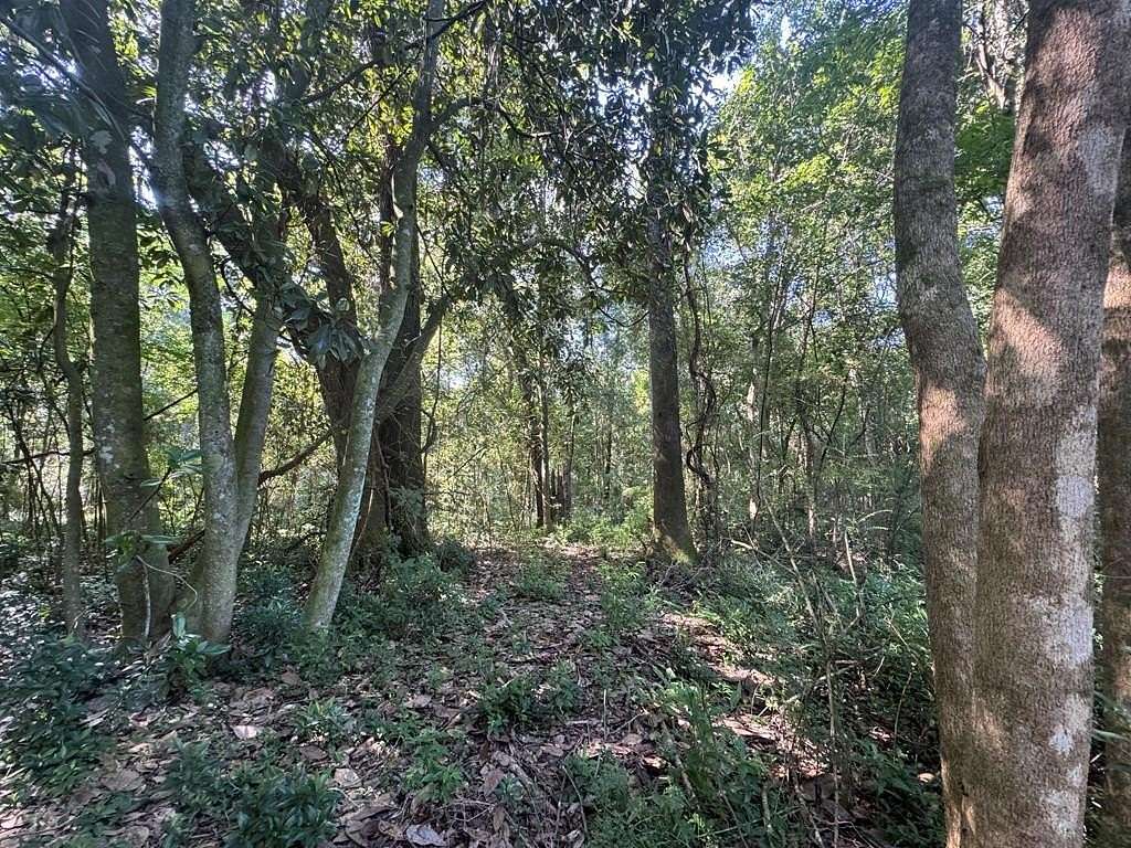 25 Acres of Land for Sale in Thomasville, Georgia