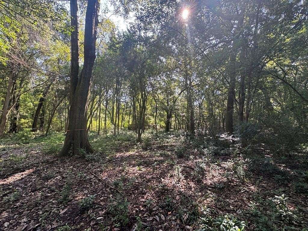25 Acres of Land for Sale in Thomasville, Georgia
