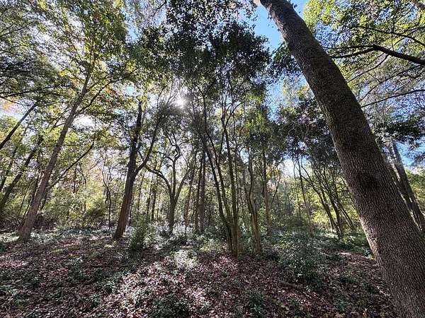 25 Acres of Land for Sale in Thomasville, Georgia