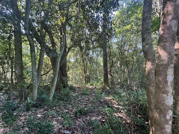 25 Acres of Land for Sale in Thomasville, Georgia