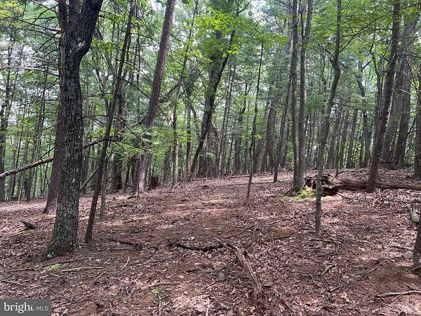 3 Acres of Residential Land for Sale in Mount Jackson, Virginia