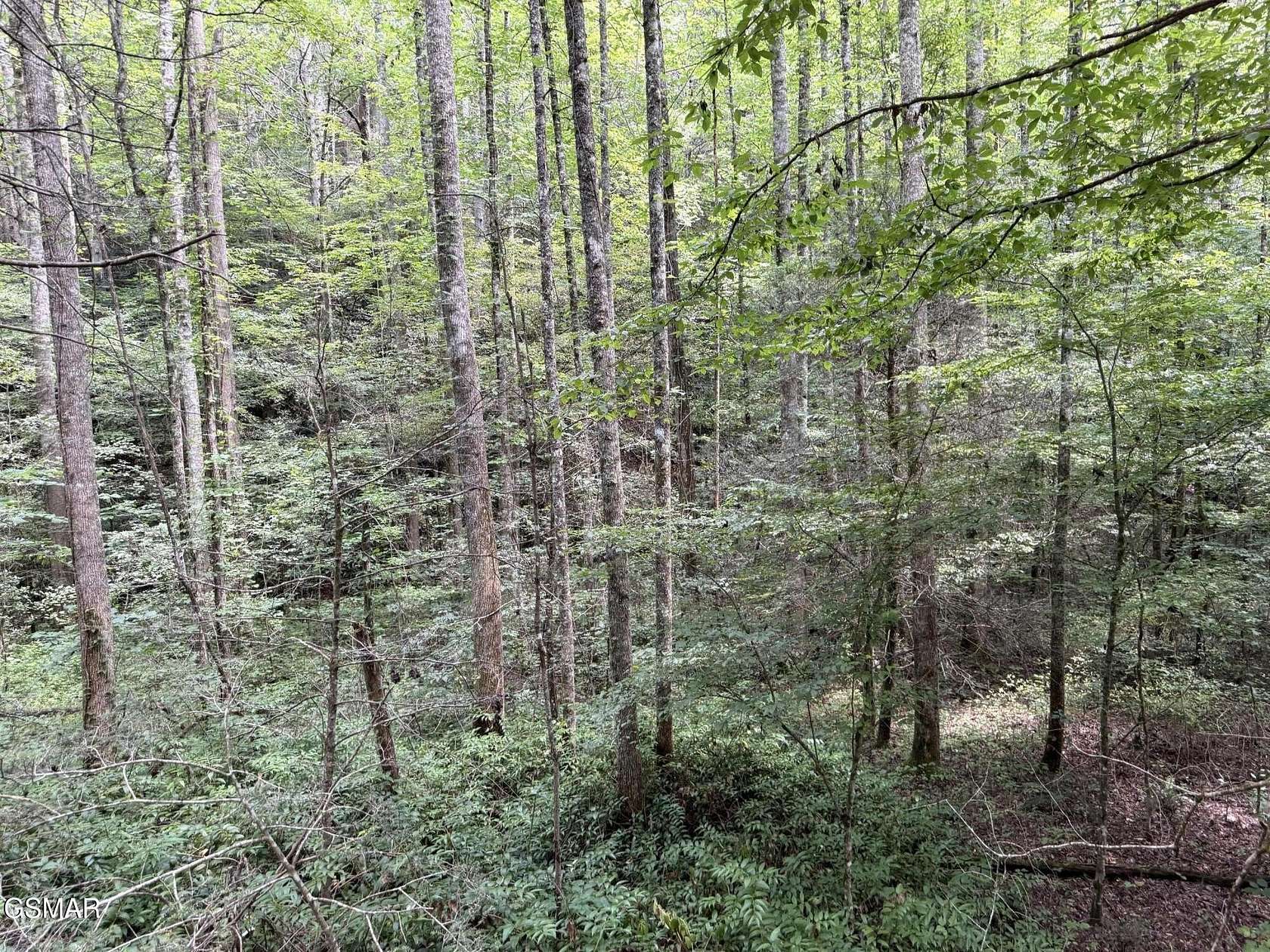 67.2 Acres of Land for Sale in Sevierville, Tennessee