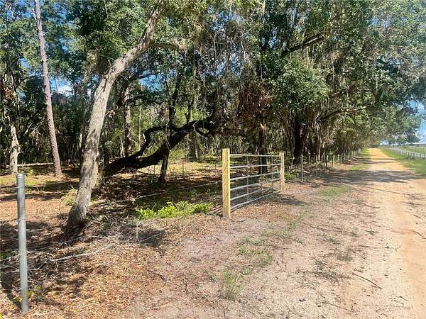 12.6 Acres of Land for Sale in Groveland, Florida