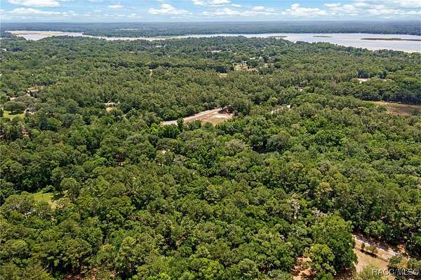 22 Acres of Land for Sale in Inglis, Florida