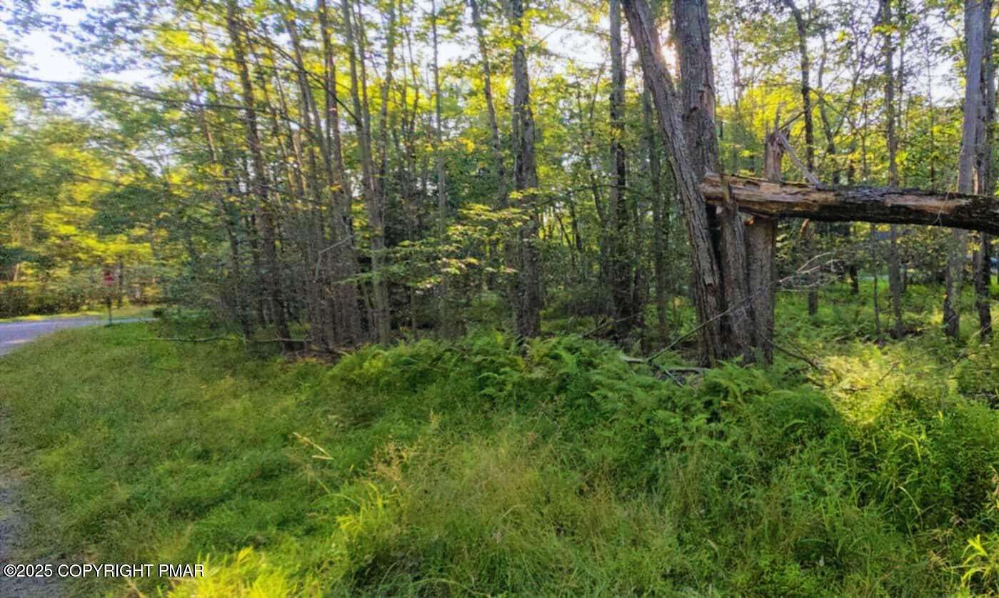 0.36 Acres of Land for Sale in Pocono Lake, Pennsylvania