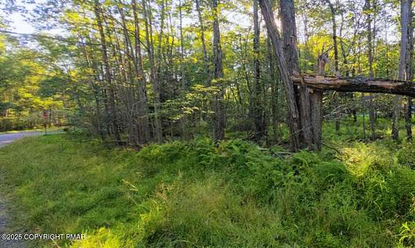 0.36 Acres of Land for Sale in Pocono Lake, Pennsylvania