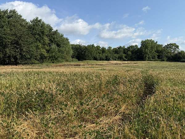 5.5 Acres of Mixed-Use Land for Sale in Crete, Illinois