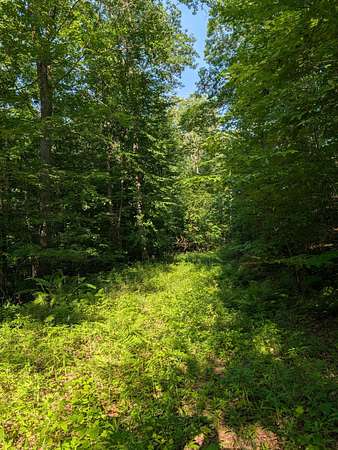121 Acres of Recreational Land for Sale in Exeland, Wisconsin