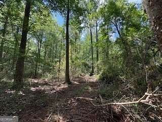 11.7 Acres of Land for Sale in Thomaston, Georgia