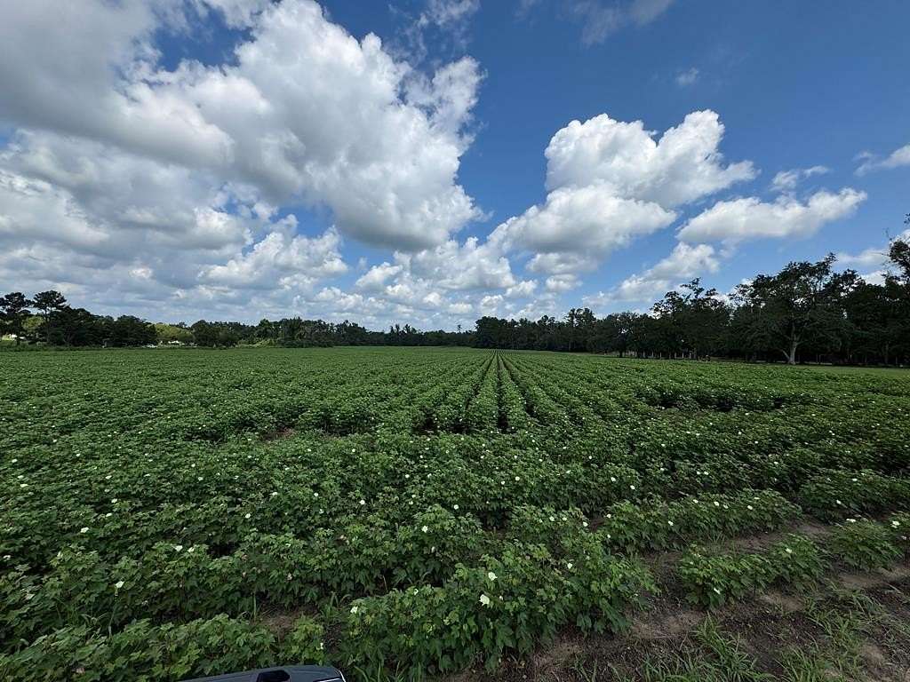 18.9 Acres of Land for Sale in Valdosta, Georgia