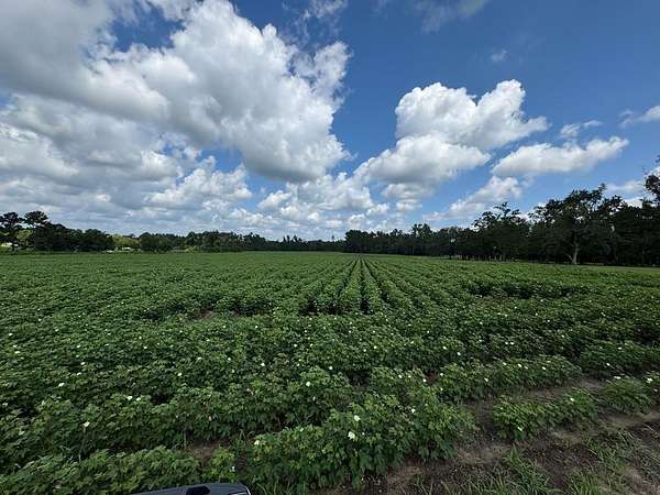 18.9 Acres of Land for Sale in Valdosta, Georgia