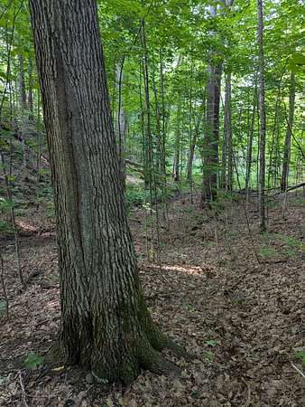 68 Acres of Recreational Land for Sale in Exeland, Wisconsin