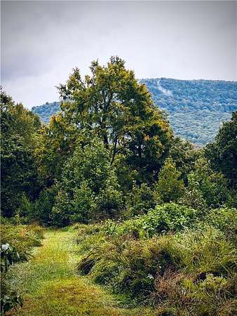 5 Acres of Residential Land for Sale in Parthenon, Arkansas