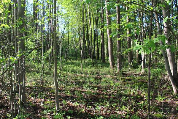 9.85 Acres of Land for Sale in Allegan, Michigan