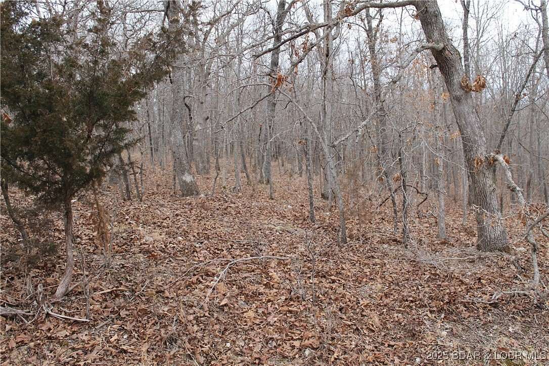 2.6 Acres of Residential Land for Sale in Edwards, Missouri