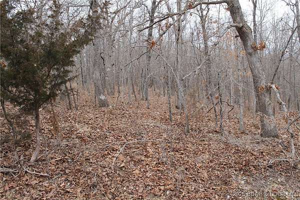 2.6 Acres of Residential Land for Sale in Edwards, Missouri