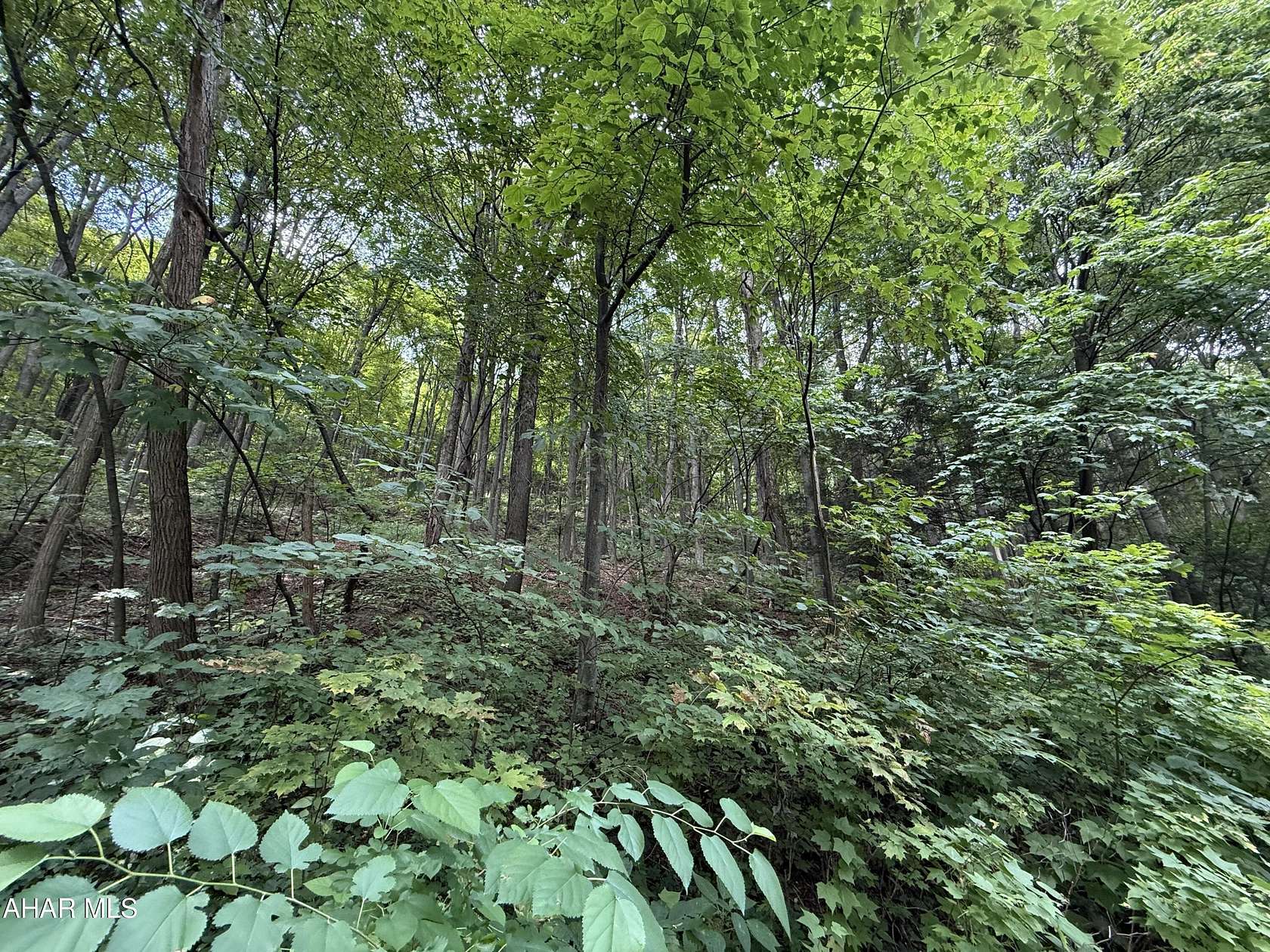 0.26 Acres of Residential Land for Sale in Claysburg, Pennsylvania