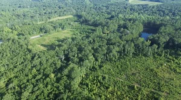20 Acres of Land for Sale in Headland, Alabama