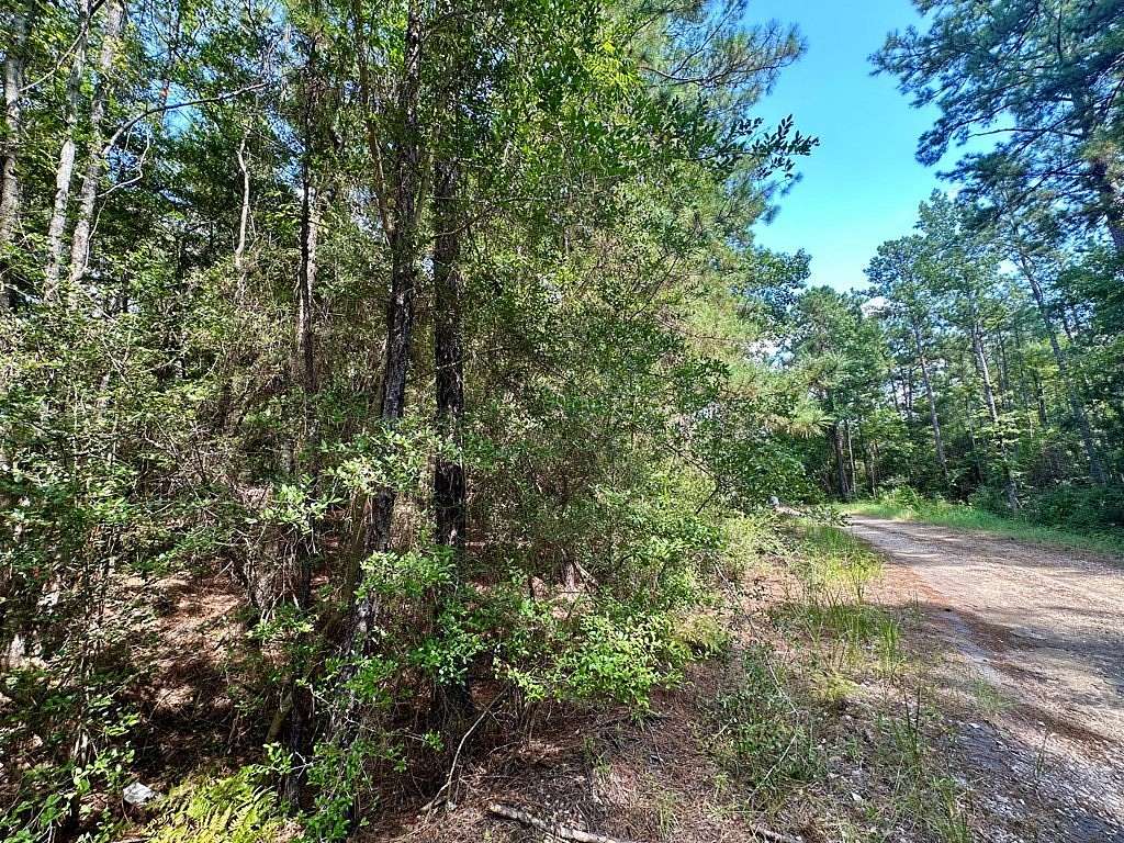0.45 Acres of Land for Sale in Brookeland, Texas