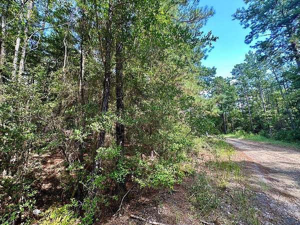 0.45 Acres of Land for Sale in Brookeland, Texas