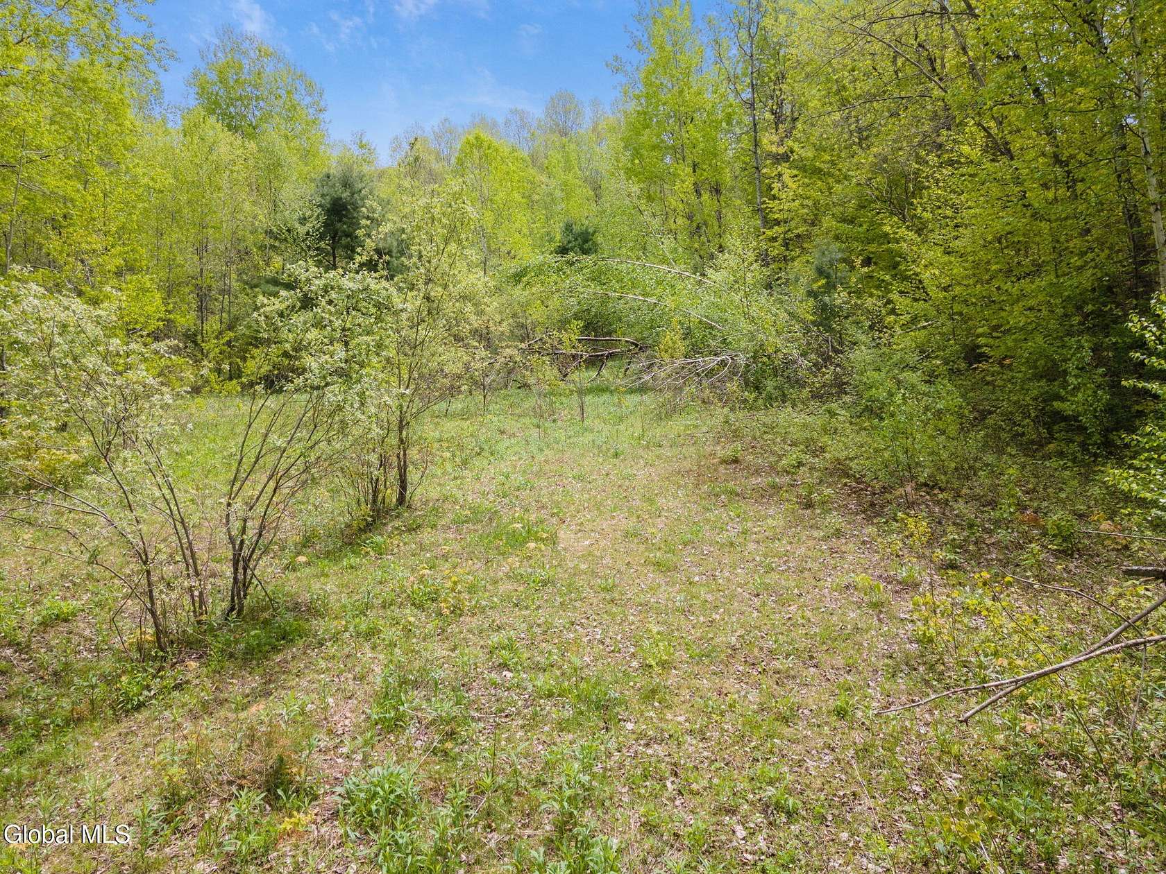 22.6 Acres of Recreational Land for Sale in Jefferson, New York