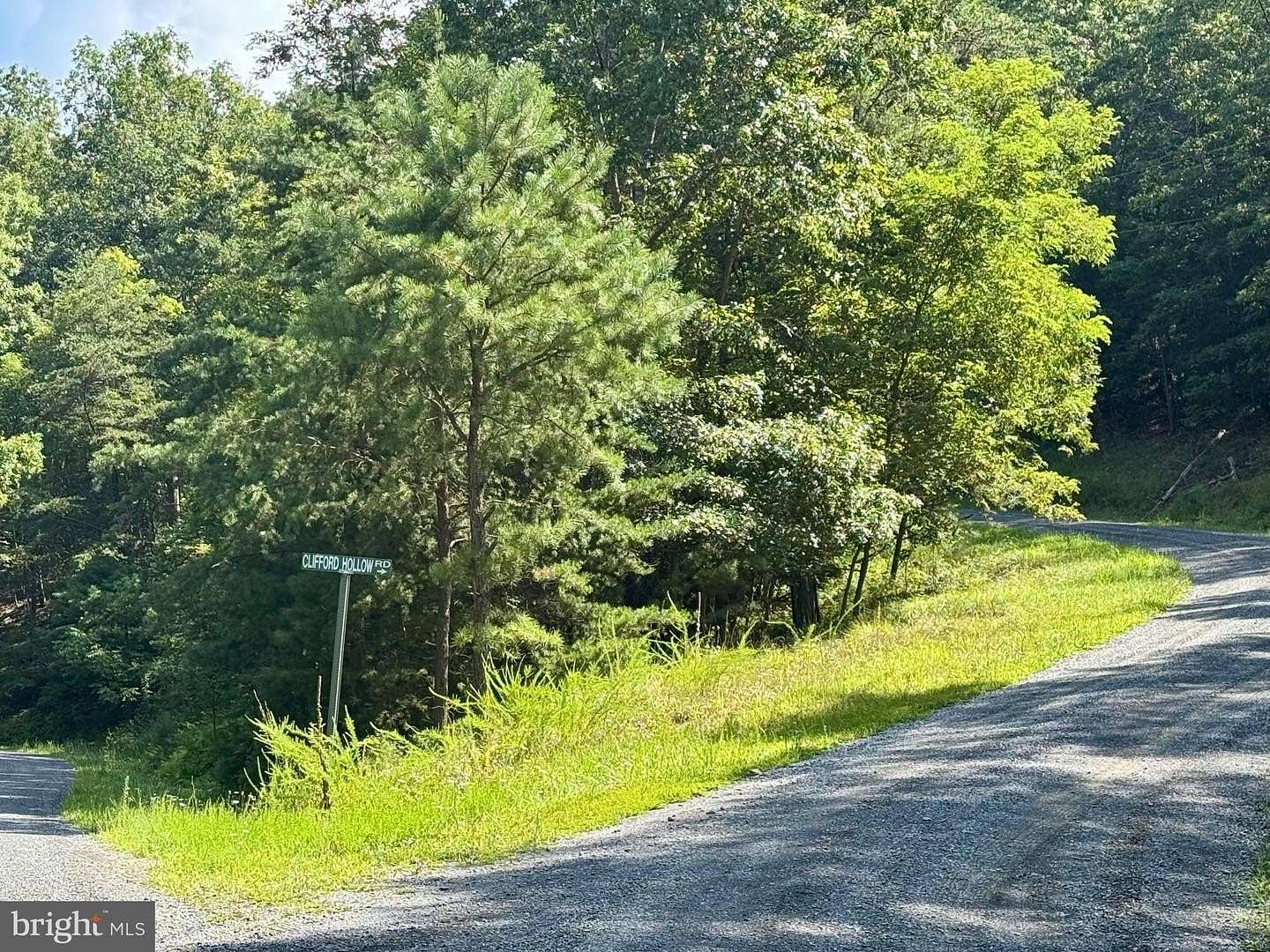 21.7 Acres of Land for Sale in Moorefield, West Virginia