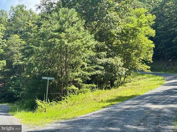21.7 Acres of Land for Sale in Moorefield, West Virginia