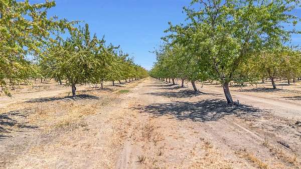 134 Acres of Agricultural Land for Sale in Madera, California