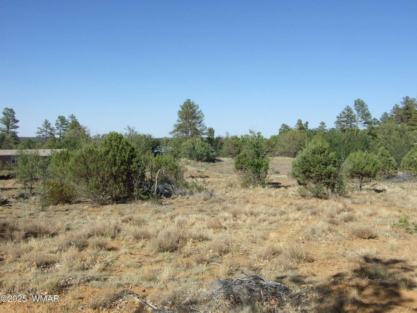 4.73 Acres of Residential Land for Sale in Pinedale, Arizona