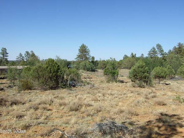 4.73 Acres of Residential Land for Sale in Pinedale, Arizona
