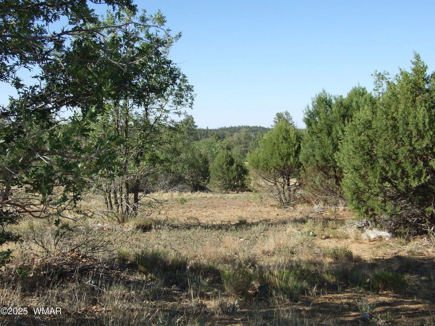 1 Acre of Residential Land for Sale in Pinedale, Arizona