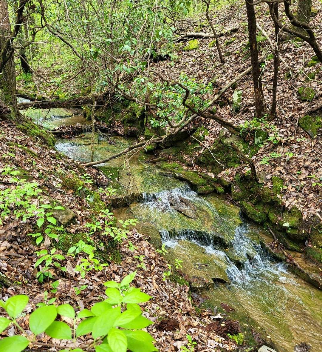 0.53 Acres of Residential Land for Sale in Crossville, Tennessee