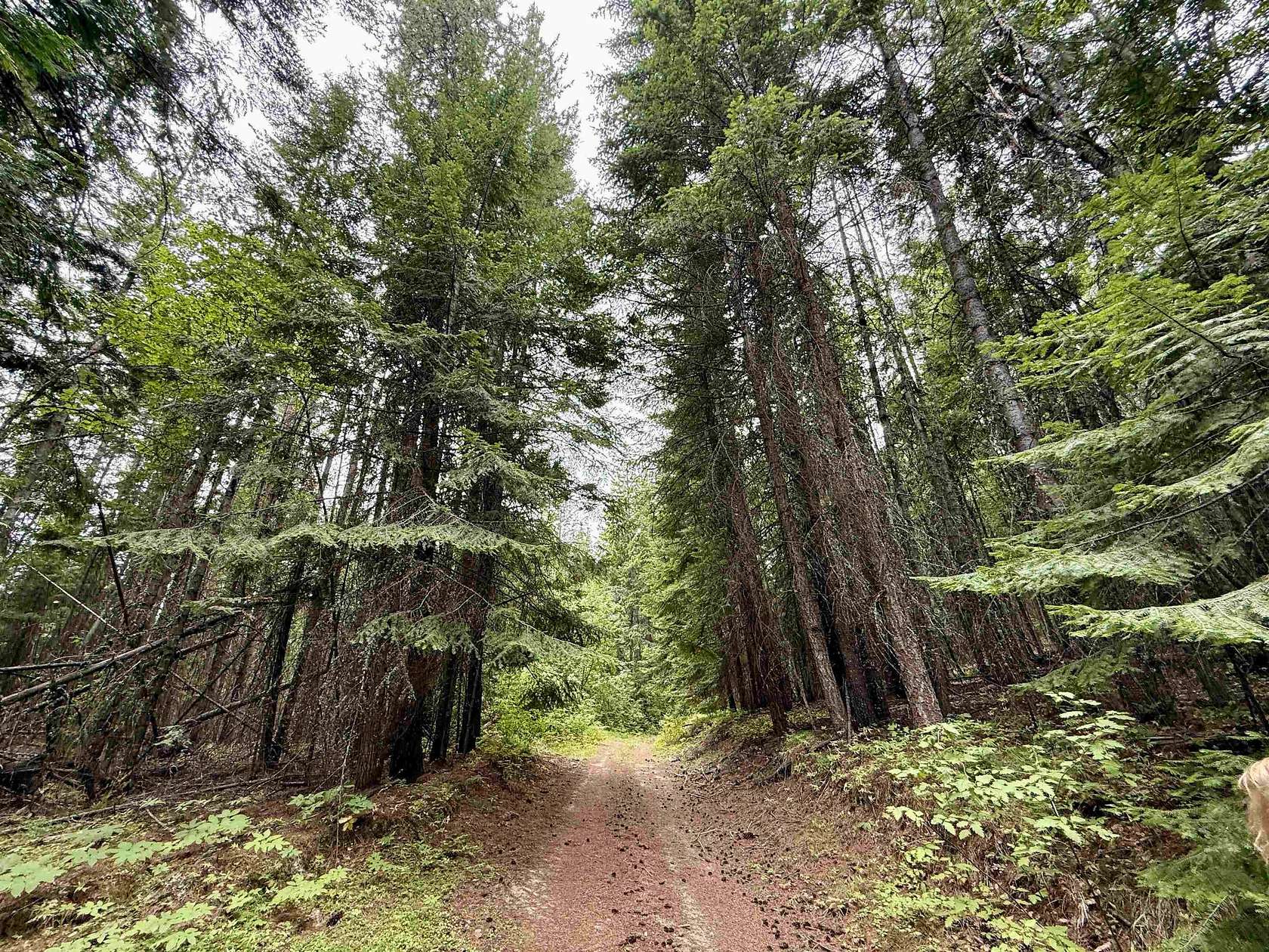 20 Acres of Land for Sale in Newport, Washington