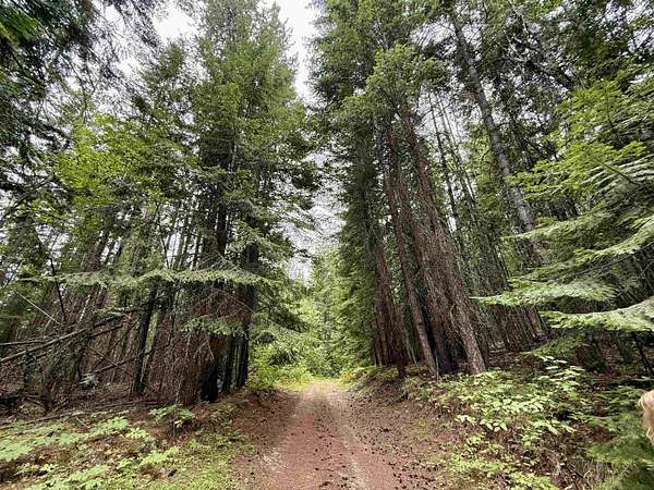 20 Acres of Land for Sale in Newport, Washington