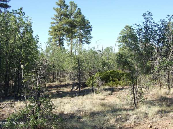 1 Acre of Residential Land for Sale in Pinedale, Arizona
