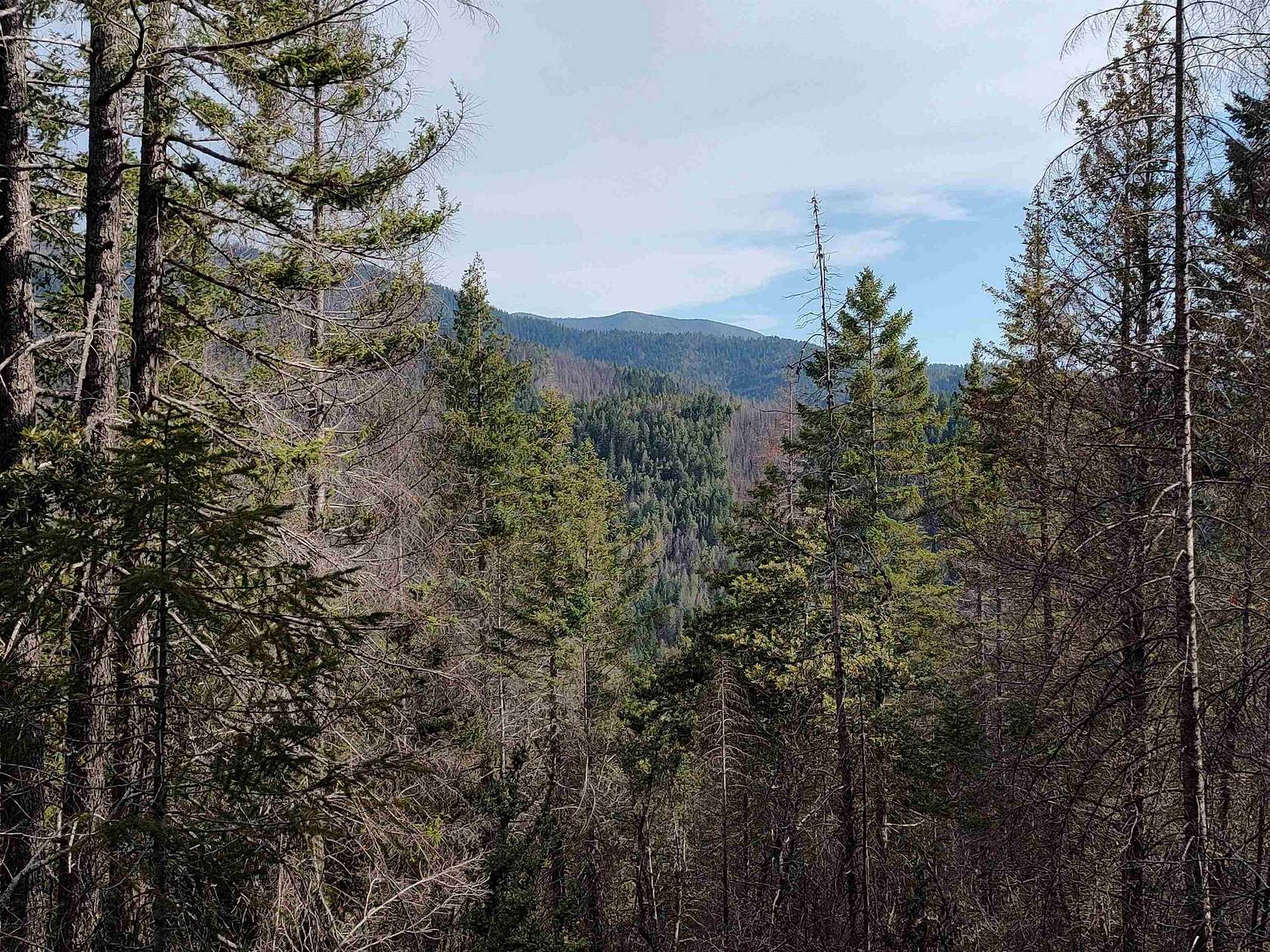 40 Acres of Recreational Land for Sale in Gasquet, California