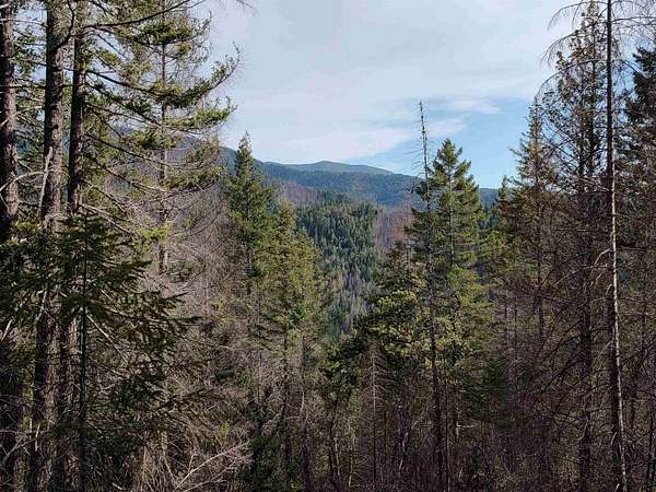 40 Acres of Recreational Land for Sale in Gasquet, California