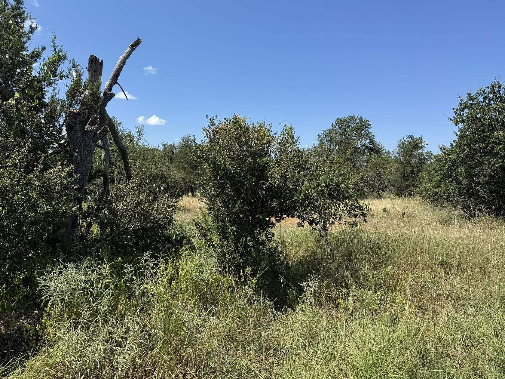 0.37 Acres of Residential Land for Sale in Burnet, Texas