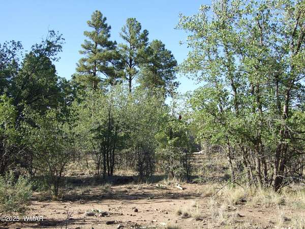 1.24 Acres of Residential Land for Sale in Pinedale, Arizona