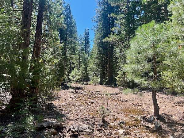 2.58 Acres of Residential Land for Sale in Johnsville, California