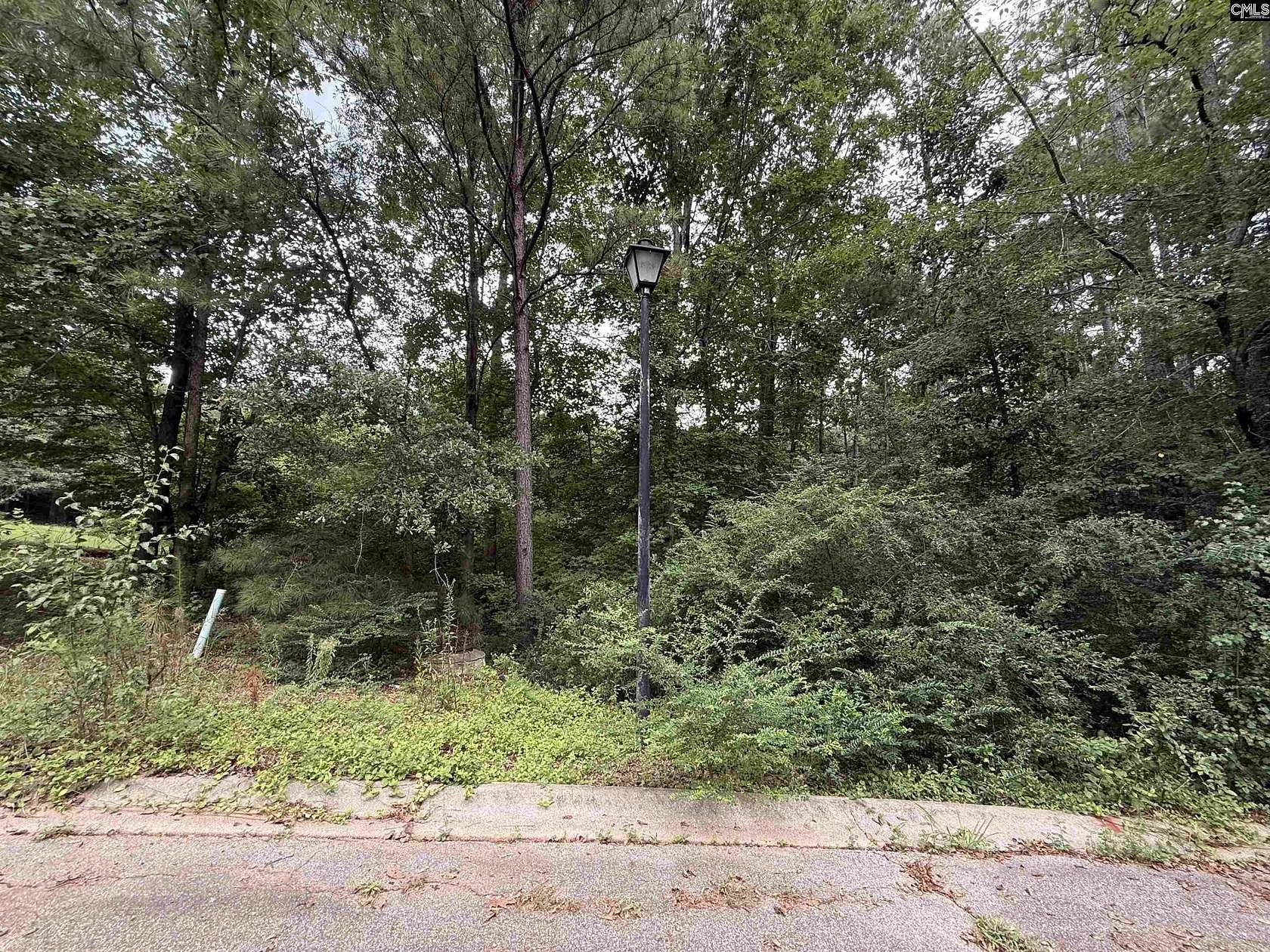 25 Acres of Land for Sale in Winnsboro, South Carolina