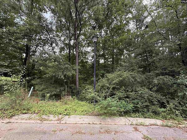 25 Acres of Land for Sale in Winnsboro, South Carolina