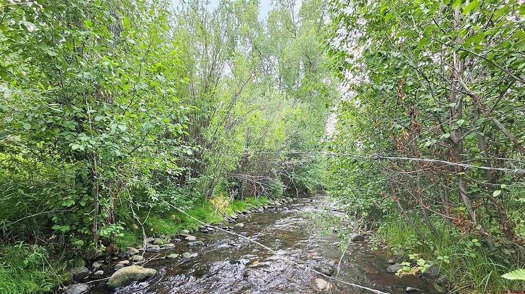 10.2 Acres of Land for Sale in Del Norte, Colorado