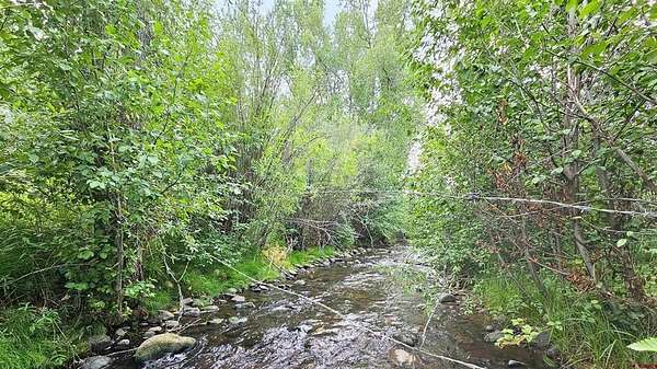 10.2 Acres of Land for Sale in Del Norte, Colorado