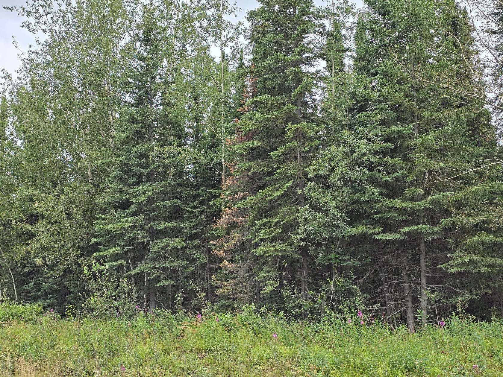 1 Acre of Residential Land for Sale in Soldotna, Alaska