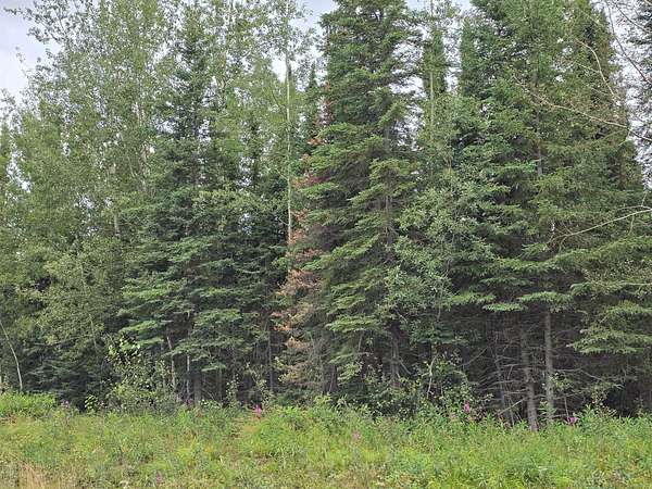 1 Acre of Residential Land for Sale in Soldotna, Alaska