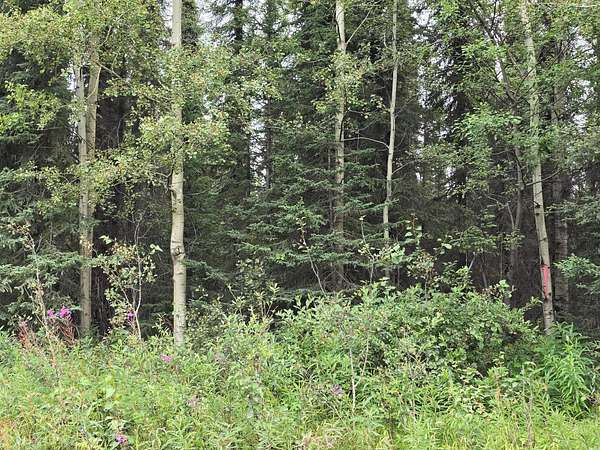 1 Acre of Residential Land for Sale in Soldotna, Alaska