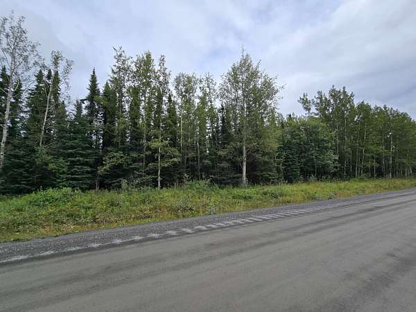 1 Acre of Residential Land for Sale in Soldotna, Alaska