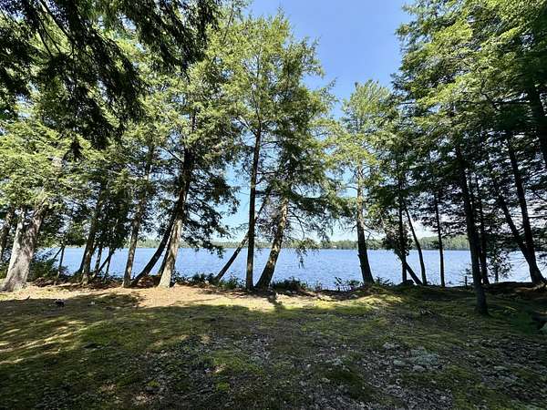 1.25 Acres of Residential Land with Home for Sale in Newberry, Michigan