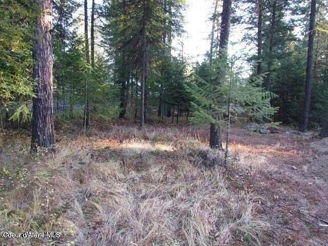 0.31 Acres of Residential Land for Sale in Blanchard, Idaho